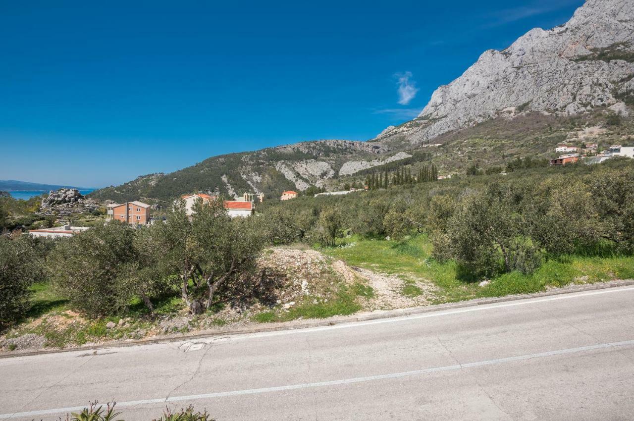Vila Branka Makarska Dış mekan fotoğraf